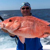 James “Jim” Calloway (@jimmyloves2fish) 's Twitter Profile