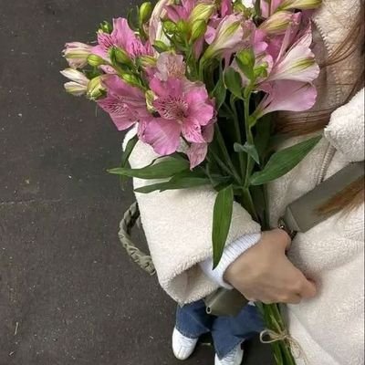 🕊️💗