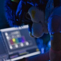 Browser (@browserhusky) 's Twitter Profile