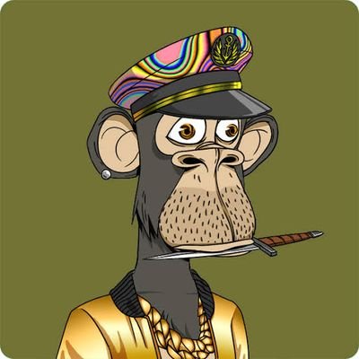 nftpilot's profile picture. NFTs would go mainstream.