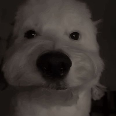 joemam264622's profile picture. 