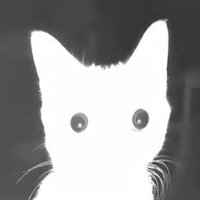 ch1ron (@7z6f5) 's Twitter Profile