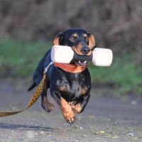 Ac/Dc (@acdc1449236) 's Twitter Profile