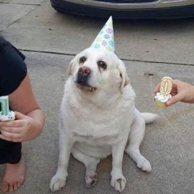 chaise_capot's profile picture. La vie la vraie