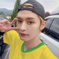 Melendez VIU O SKZ 🇧🇷 (@_lehmds) 's Twitter Profile