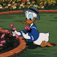 NG Poognette (@floflowtrobo) 's Twitter Profile Photo NG Poognette (@floflowtrobo) 's Twitter Profile Photo
