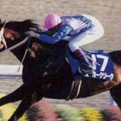 R0iHGMAzrG52889's profile picture. 皆さんと一緒に楽しむために競馬専門垢を作りました