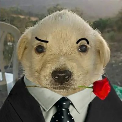 Hanさんのプロフィール画像