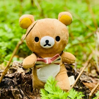 くらげありがとうございます くらげもどき (@kuragemodoki) / Posts / X