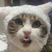 ããðŠðŠðŠð±ððŸð£âžâž (@salt_kensh) Twitter profile photo ããðŠðŠðŠð±ððŸð£âžâž (@salt_kensh) Twitter profile photo