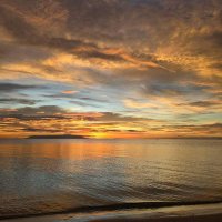 I 💜 OT⁷ #APOBANGPO (@blackberry1629) 's Twitter Profile Photo