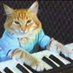 KEYCAT | Support Team ✪ (@keyboardcatteam) Twitter profile photo KEYCAT | Support Team ✪ (@keyboardcatteam) Twitter profile photo