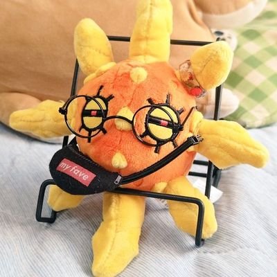 太陽さんのプロフィール画像