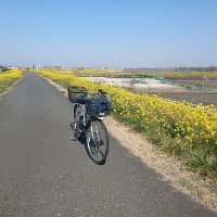 🟠🇯🇵ヨネくま🟠🇯🇵 (@yonekuma_japan) Twitter profile photo