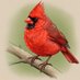 Diego Aguilar (@diegoag27344329) Twitter profile photo Diego Aguilar (@diegoag27344329) Twitter profile photo