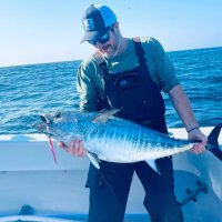 Harold Dieterle (@harolddieterle) 's Twitter Profile