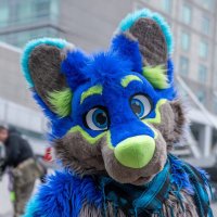 Riggiutus Folfis π Anthrocon (@riggyfolf) 's Twitter Profile