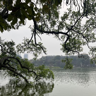 caominhhai113's profile picture. 