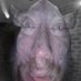 6’s a hater. (@itskurisshi) Twitter profile photo 6’s a hater. (@itskurisshi) Twitter profile photo