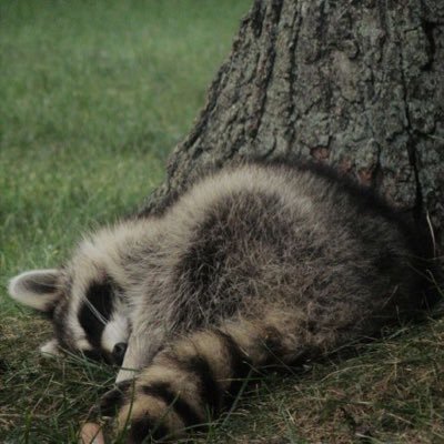 livさんのプロフィール画像