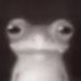 Frog (@qudatafr) Twitter profile photo Frog (@qudatafr) Twitter profile photo