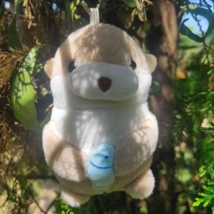 endearingmia's profile picture. ☮️
I massive RT and read fics.
Please, do not follow.