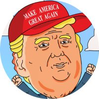 TRUMP IP-$IP (@trumpipxx) 's Twitter Profile Photo