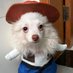 pugAa (@pugadisero) Twitter profile photo pugAa (@pugadisero) Twitter profile photo
