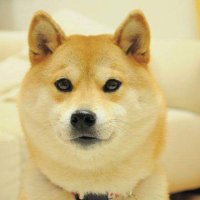 C.I.V.A (@tonaitoo) 's Twitter Profile Photo C.I.V.A (@tonaitoo) 's Twitter Profile Photo