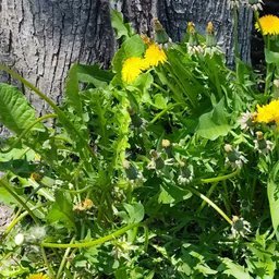 losWbBlanco's profile picture. mid-age, bald, married, guy. sci-fi, horror, self-help. blues, rock, country musicia | @phillies⚾️, @sixers🏀, @eagles🏈 . dad joke guru