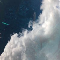 Ain@にじそ 東7ホール J-26 (@ain_zero_o) Twitter profile photo