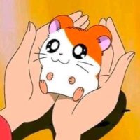 ๋๋น (@hamzzi712) 's Twitter Profile Photo ๋๋น (@hamzzi712) 's Twitter Profile Photo