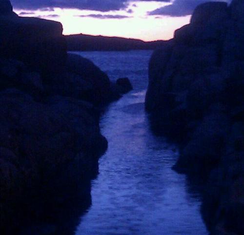 annimeli's profile picture. 