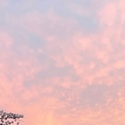 @Q6_oxo