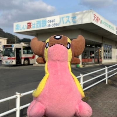 toriton_pkmn's profile picture. 九州大学ポケモン研究会『きゅーぽけ』 M1/西鉄バス