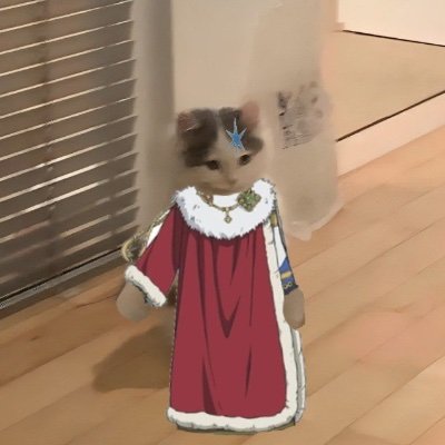 stphnjet's profile picture. 