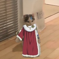 Stephen Jet (@stphnjet) 's Twitter Profile