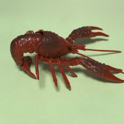 zariganoid's profile picture. 