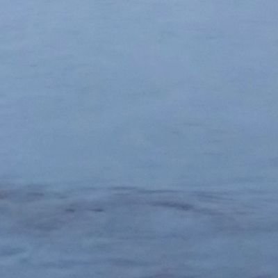 vKybQHbJfLGQRCX's profile picture. 基本的に自主的なポストはしませんが、vtuberさん推ししてます
（🐧/🍀/🤍🎀💫/❄🐾/🤍🫧 ͛.*/🎀🍰/🧜/🦋/🎨💐/🎨🧸/🍖💛/🍷♥/🌕🌌/🎀💕/❄️🍀/🤍🐈❄️/🐰🫧）