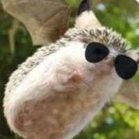 ハーサカJったん 💛💙🍶🐁 (@nerugigantejsan) 's Twitter Profile Photo ハーサカJったん 💛💙🍶🐁 (@nerugigantejsan) 's Twitter Profile Photo