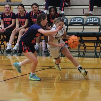 Class Of 2027🎓| PCHS | 5.4 | PG | SG | #1 | 3.8 gpa | ( IL ) contact: ellapage17@yahoo.com