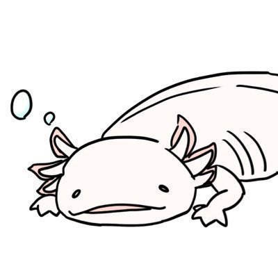 メルファーさんのプロフィール画像