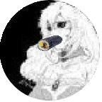 『ブラックジョークデー』アウター(∞ⁿ)🍋🎴🍕🌌🍅【🌾🌱💎🐮💻🐑】さんのプロフィール画像