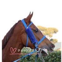 𓈒𖡼𓂂𓏲𓅪ライム𓈒𖡼𓂂𓏲𓅪 (@sekisei1205) Twitter profile photo