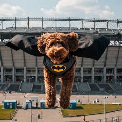 MarKwa331754's profile picture. 