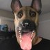 Jason (@jason0598647) Twitter profile photo Jason (@jason0598647) Twitter profile photo