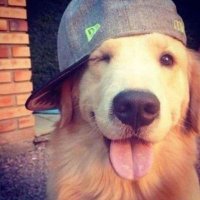 valen (@batip_) 's Twitter Profile Photo valen (@batip_) 's Twitter Profile Photo
