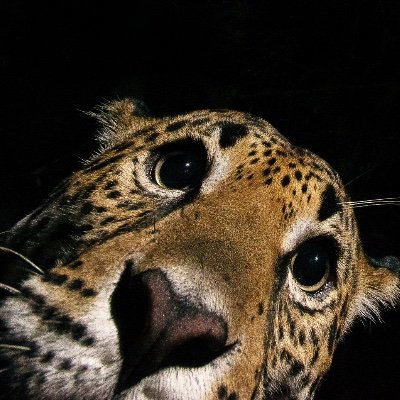 Enamorado de las luchas de los pueblos y barrios de Guatemala.