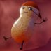 å®éããŒãããðŽââ ïžð«âïžãŽðºðº (@houshoupeanuts) Twitter profile photo å®éããŒãããðŽââ ïžð«âïžãŽðºðº (@houshoupeanuts) Twitter profile photo