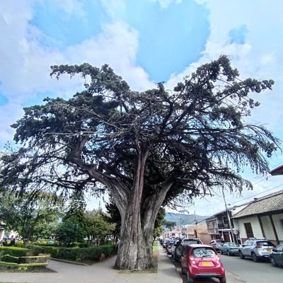 FernandoRu83885's profile picture. 